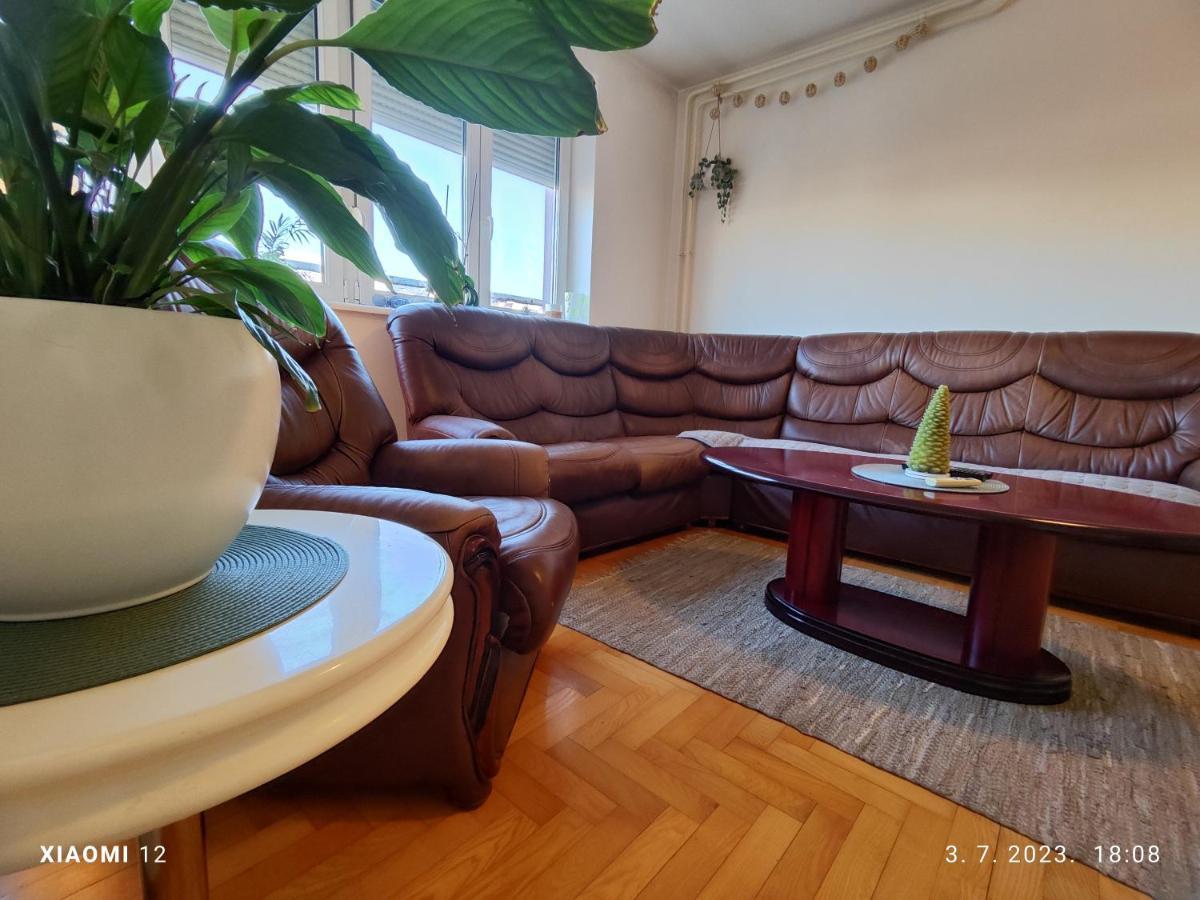 Srecko No3 Apartment Beograd Bagian luar foto